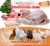 LIVE AND FROZEN TURKEY,CHICKEN ,GOAT,GUINEA FOWL,DUCK, PORK AND EGGS